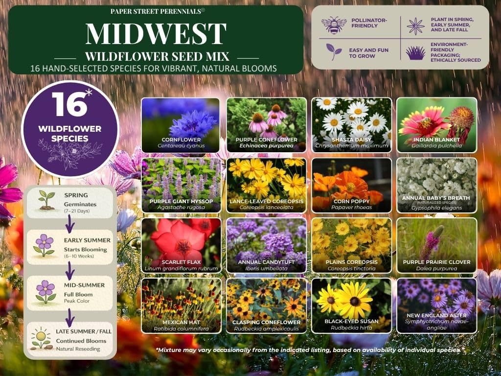 Michigan Bulk Perennial and Annual Wildflower Seed Mix 1/4lb Covers 500sq-ft - Attract Pollinators, Multi-Color Non-GMO