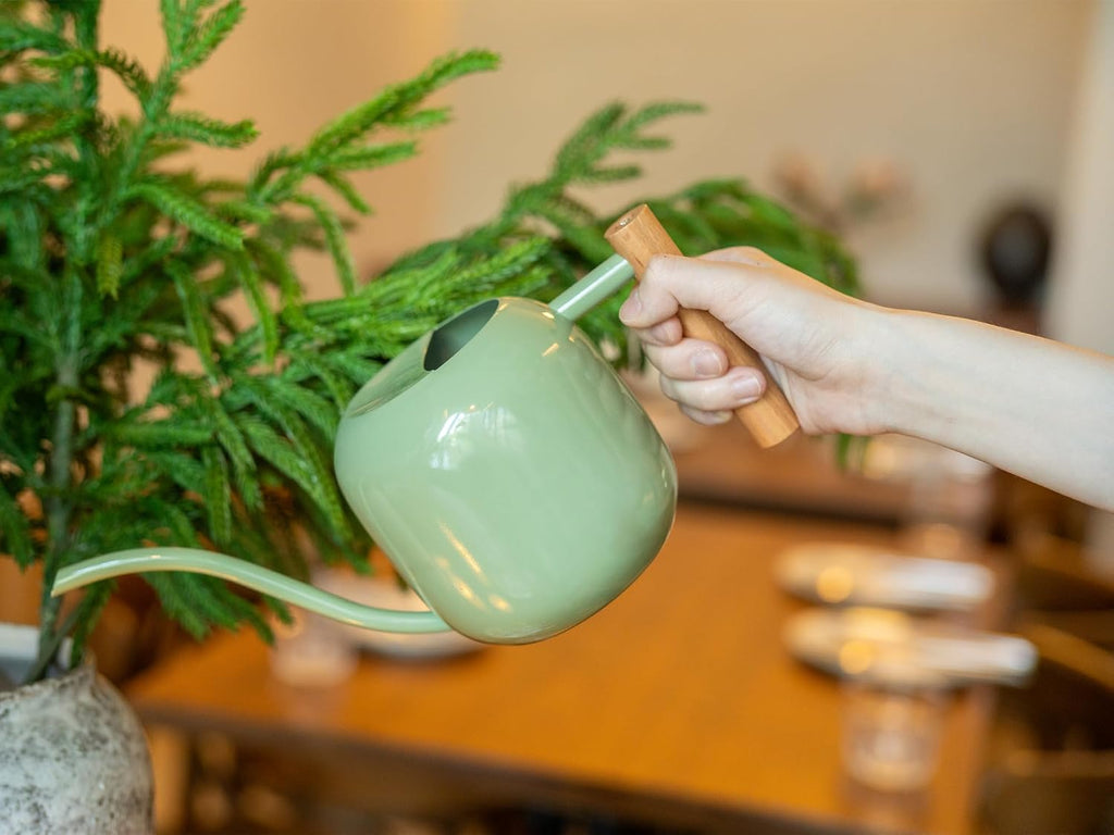 1.2L/41oz Metal Metal Watering Can with Long Spout, Sage Green | Metal Stainless Steel Watering Can for Indoor Plants