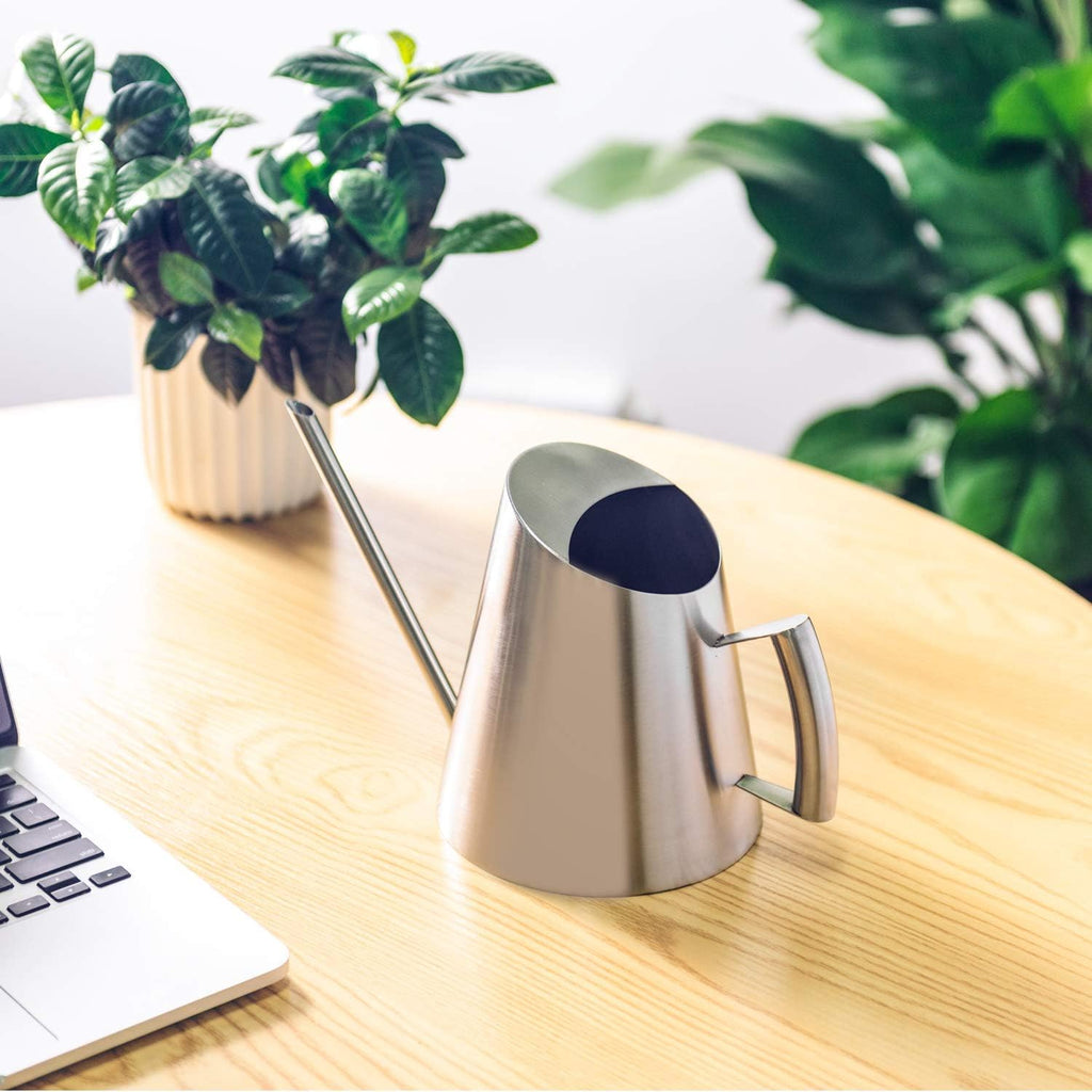 IMEEA Stainless Steel Indoor Watering Can with Long Spout Modern Watering Can for Small Indoor Plants, 50oz / 1.5L