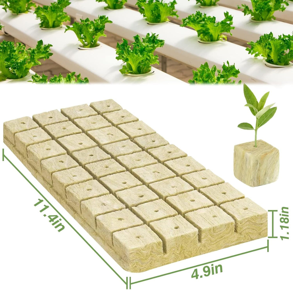 Halatool 1.2 in Rockwool Cubes for Hydroponics, 144 Plugs Seed Starter Cube | High Germination Rate for Vegetables &