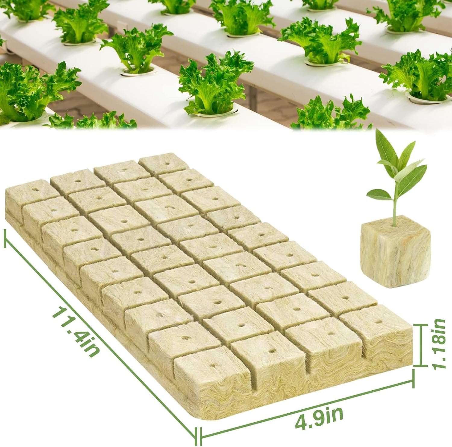 Halatool 1.2 in Rockwool Cubes for Hydroponics, 144 Plugs Seed Starter Cube | High Germination Rate for Vegetables &