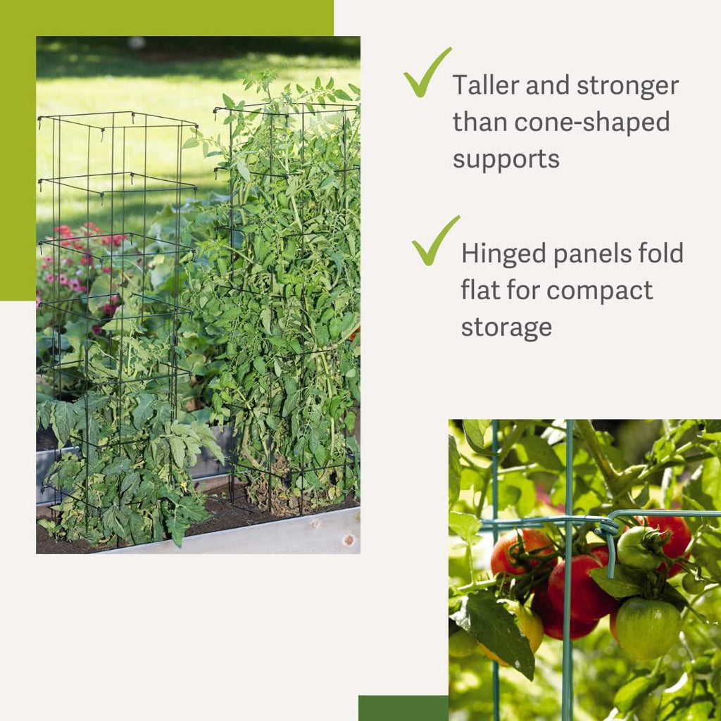 Gardener’s Supply Company Extra Tall Heavy-Guage Square Tomato Cages | Easy Fold Plant Supports & Vegetable Garden
