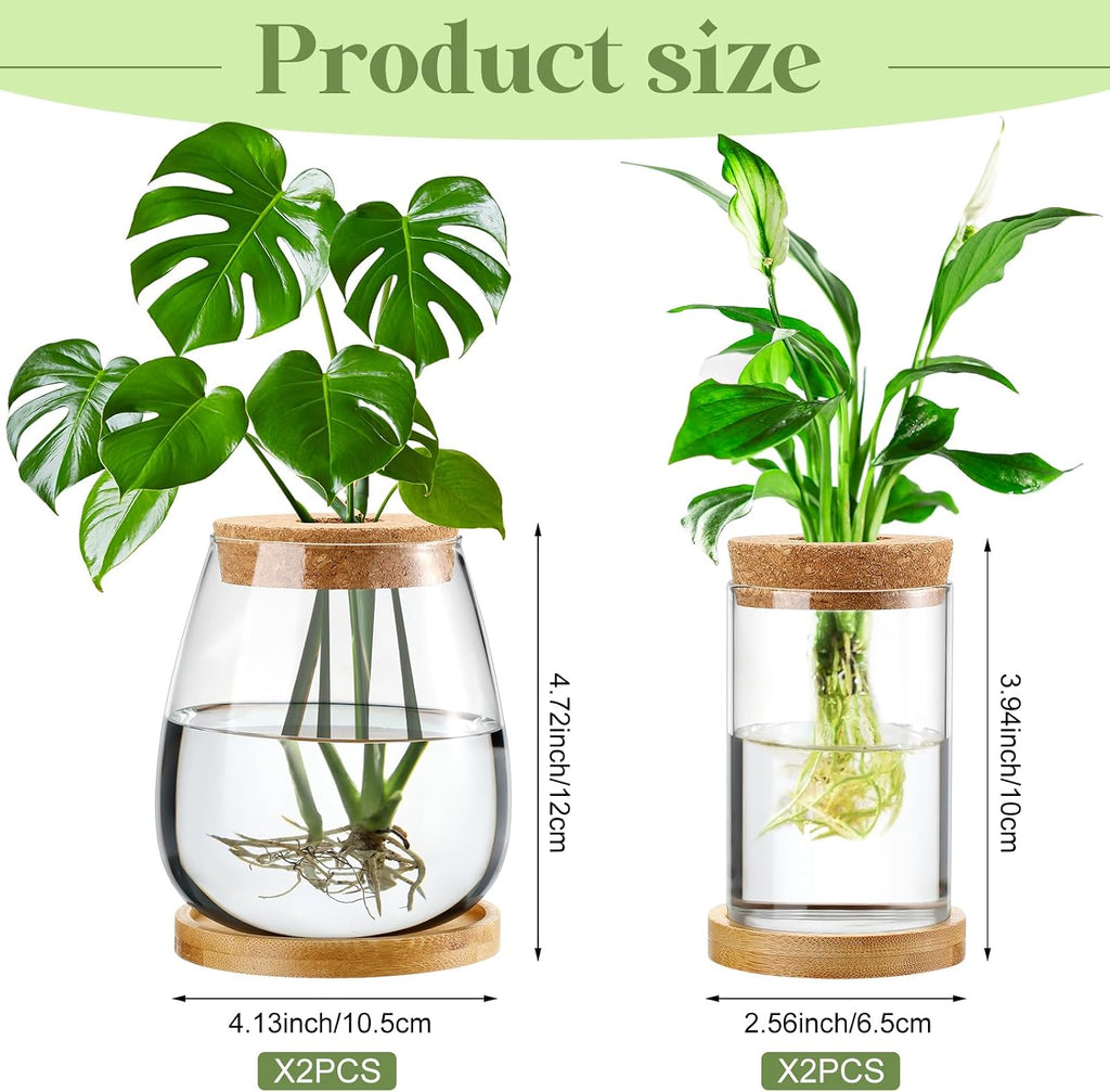 Layhit 4 Pcs Plants Propagation Stations vases Glass Planters with Wooden Lid and Bamboo Stand for Hydroponic Plants