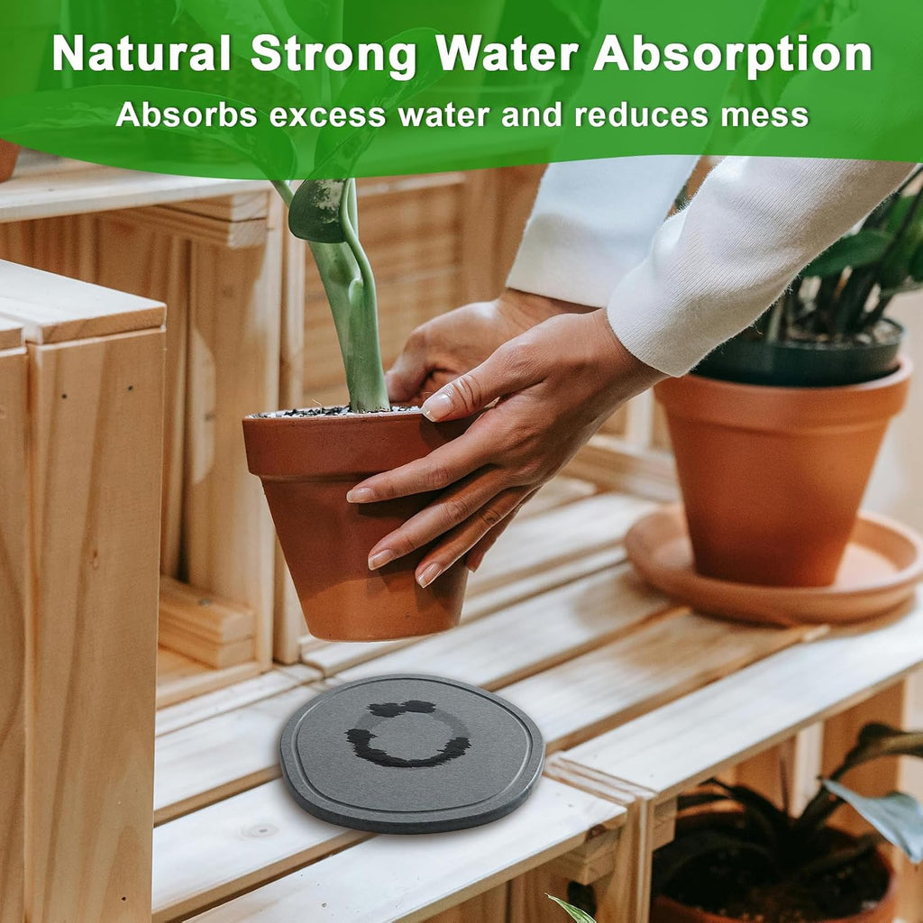 4 6 8 Inch 6 Pack Diatomite Plant Saucers for Indoors, Plant Drip Tray | XRzitky Quick Absorbent and Dry Plant Plates