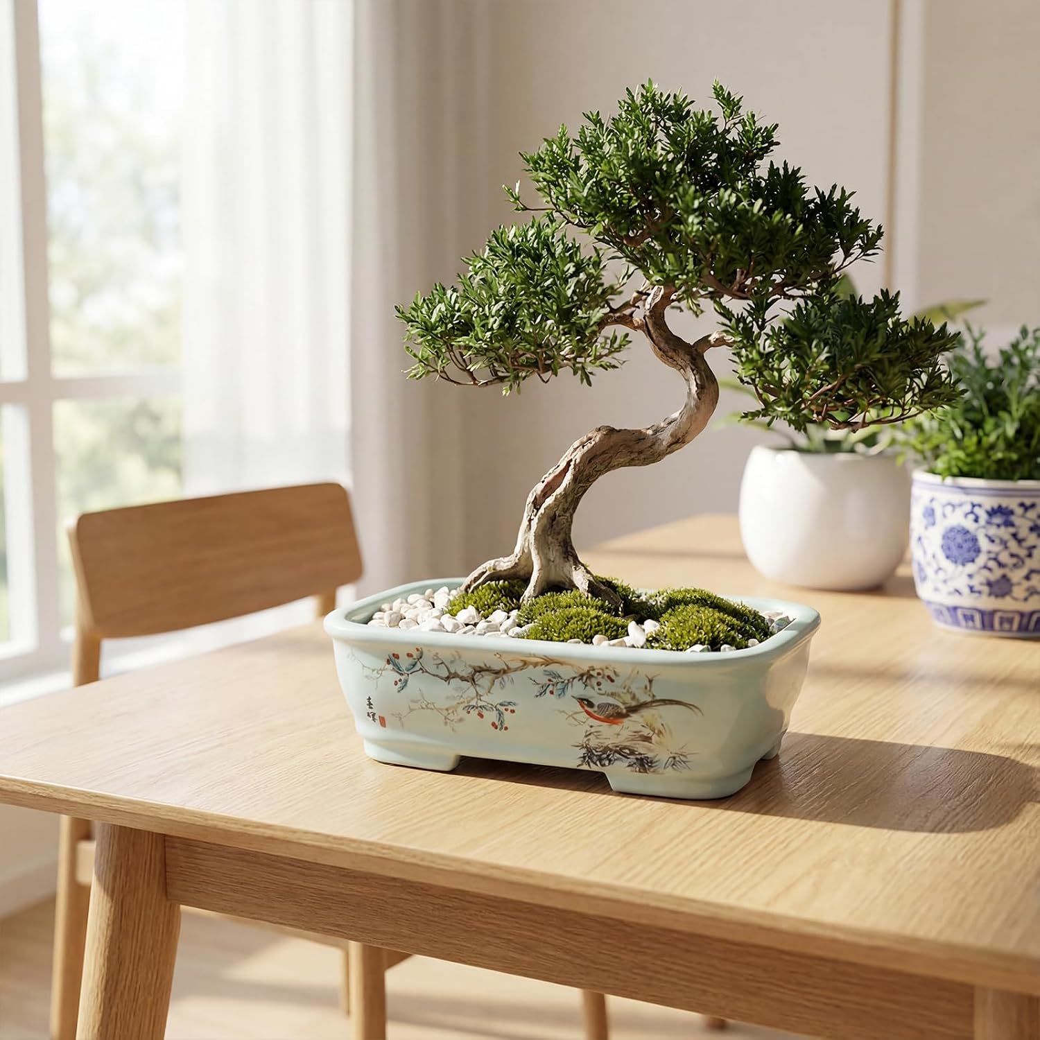 8" Bonsai Pots with Tray, Rectangular Planter in Blue & White | 8" glazed ceramic bonsai pots with tray, large shallow