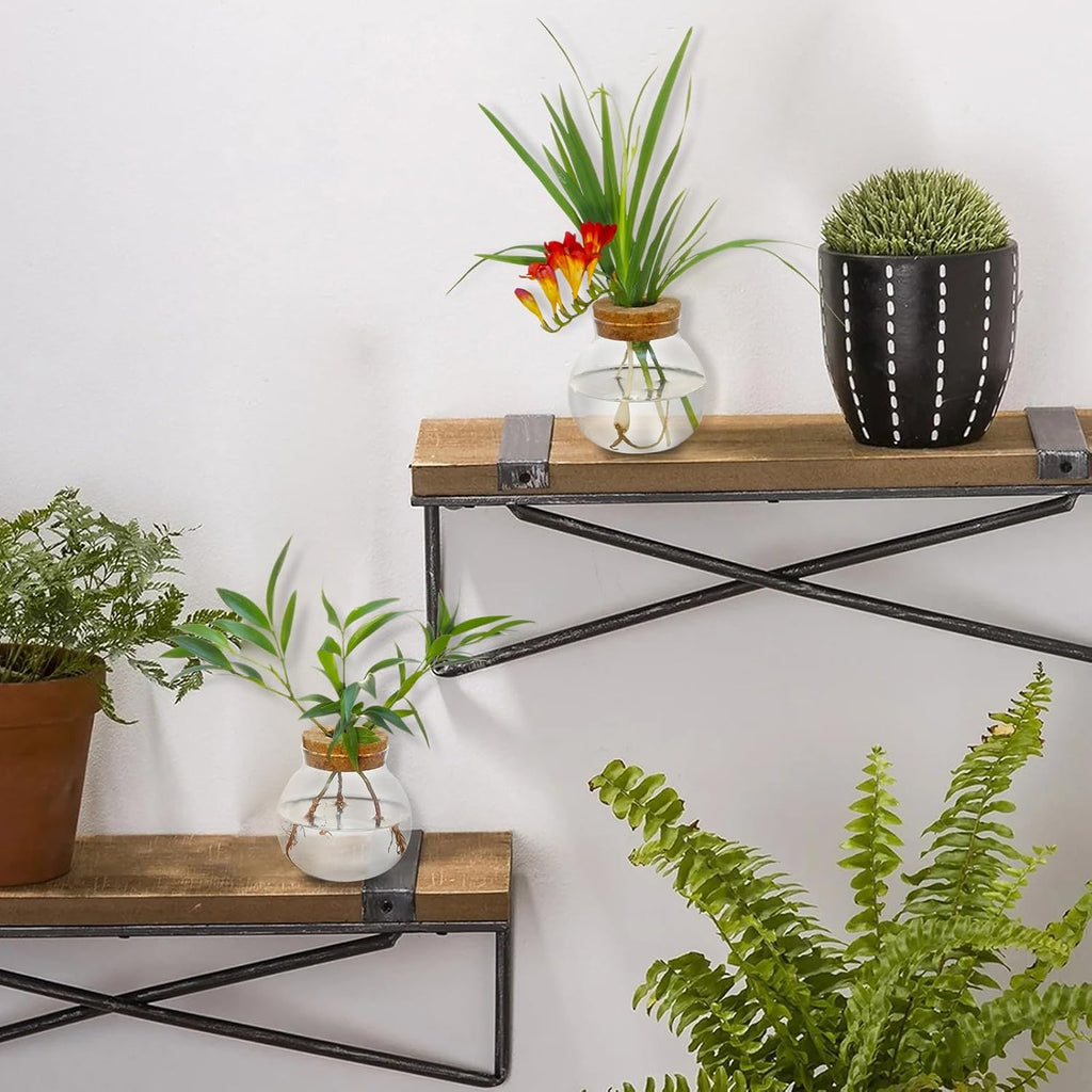 Plant Propagation Station,Hydroponic Terrarium Vase,Desktop Glass Planter Station,for Houses,Garden