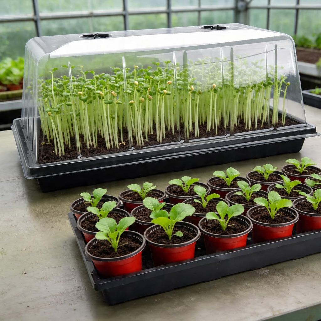 5 Pack 1020 Plant Tray with Tall Dome (7.3 inch), Plastic Flat Seed Starter Tray with Humidity Domes, Heavy Duty 1020