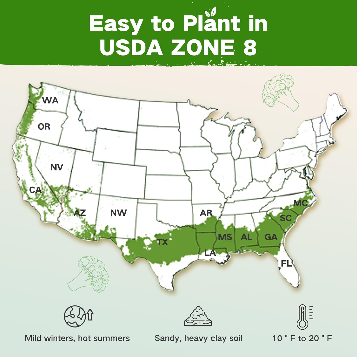 Zone 8 Heirloom Seed Bank, 32 Types Non-GMO Seeds for Planting Vegetables | 30,000+ Garden Seeds for Planting Herbs