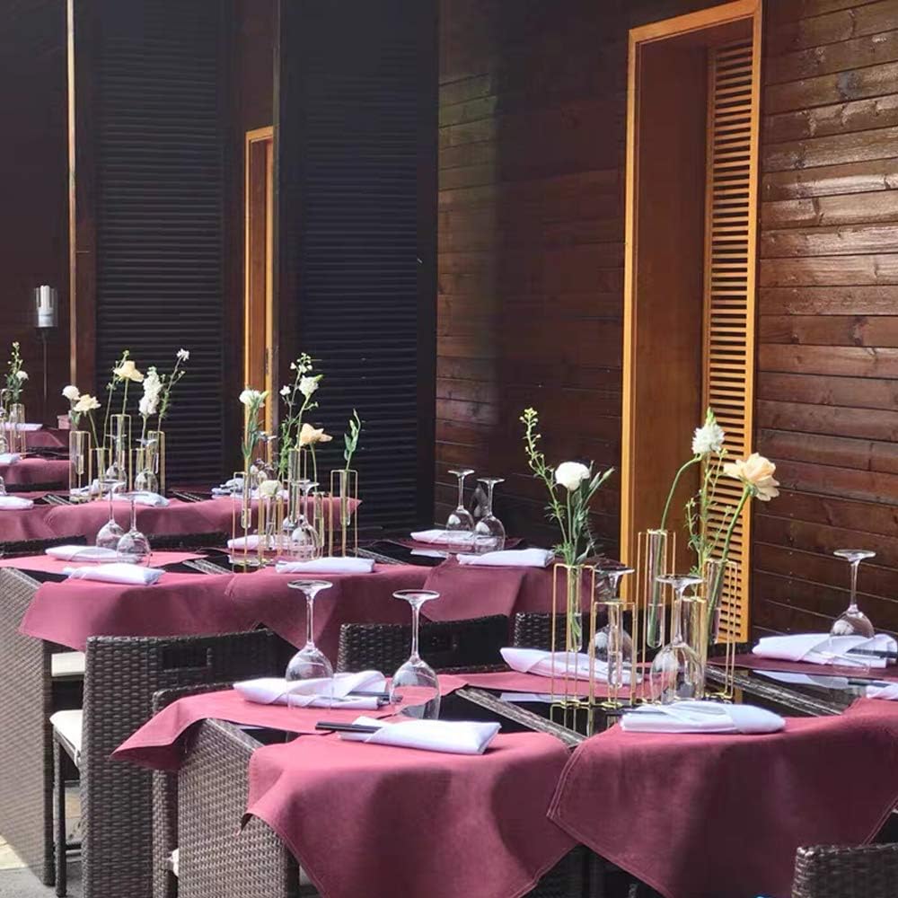 Hinged Flower Vases Test Tube Flower Vase with 5 Test Tubes Gold Metal Frame can be Bent and Contorted, Propagation