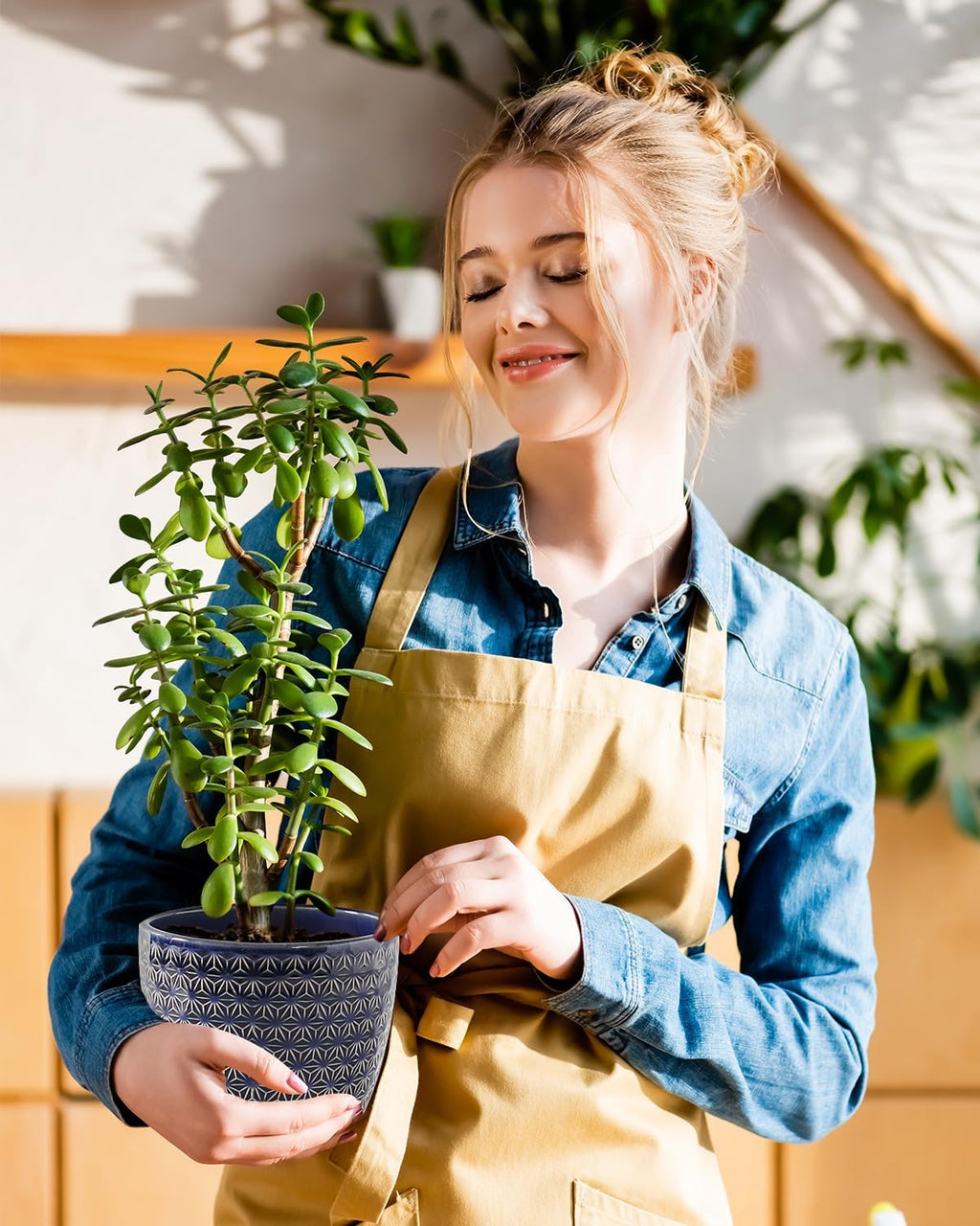 Plant Pots, Planters for Indoor Plants, Ceramic Plant Pots, 6.5+5.5 inch Plant Pot with Drainage and Saucer, Pots for
