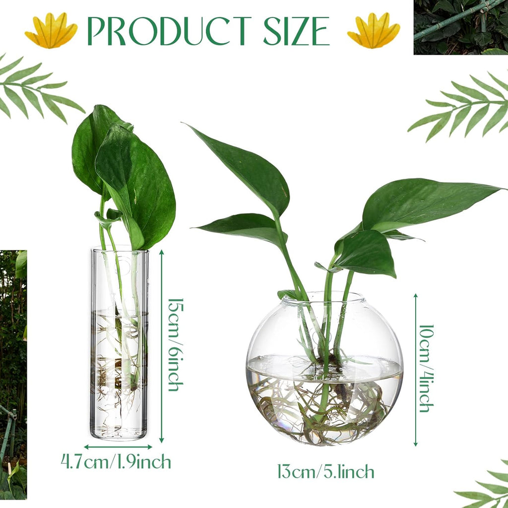 6 Pcs Glass Wall Hanging Vase Indoor Propagation Planter with Hanging Suction Cup and Plastic Invisible Traceless