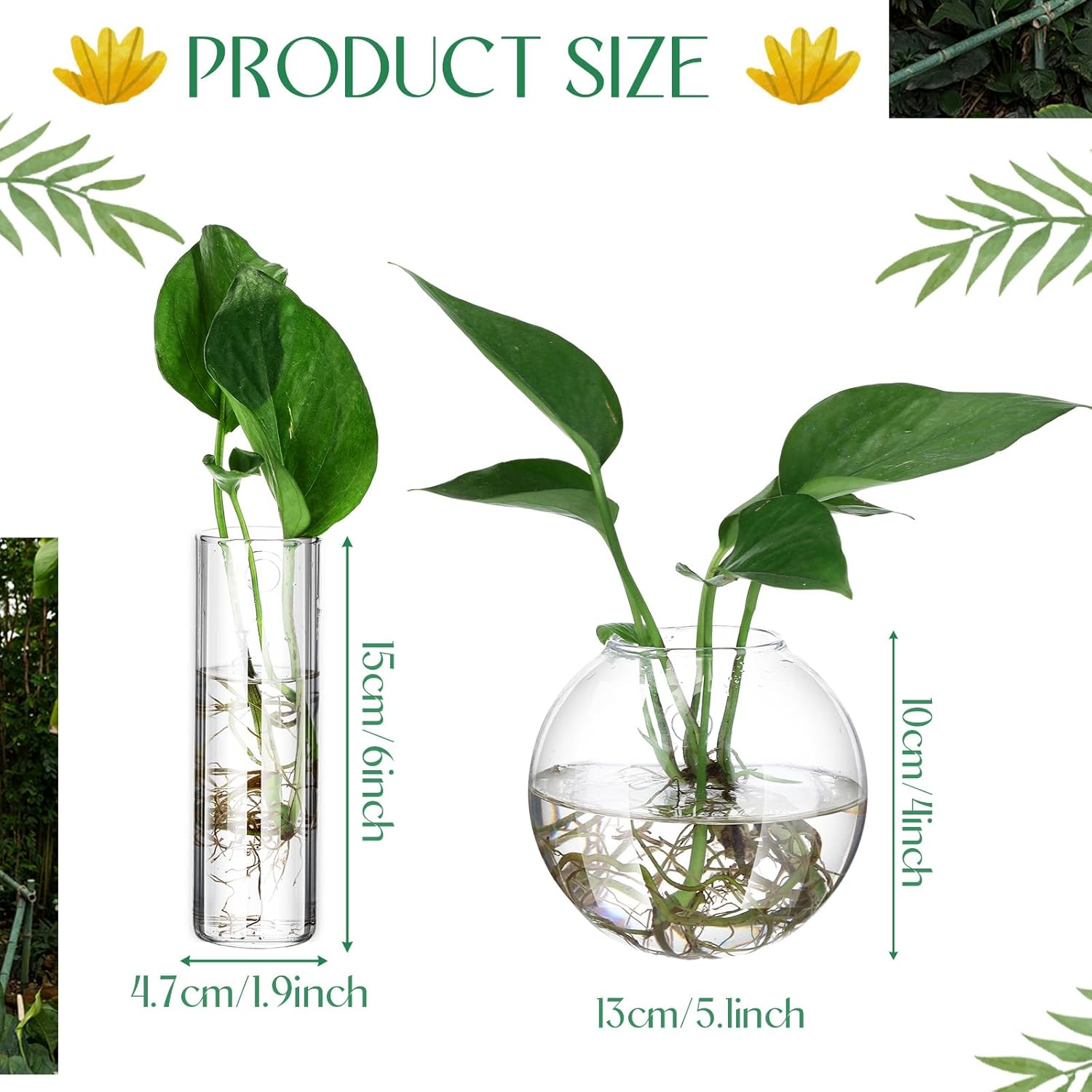 6 Pcs Glass Wall Hanging Vase Indoor Propagation Planter with Hanging Suction Cup and Plastic Invisible Traceless