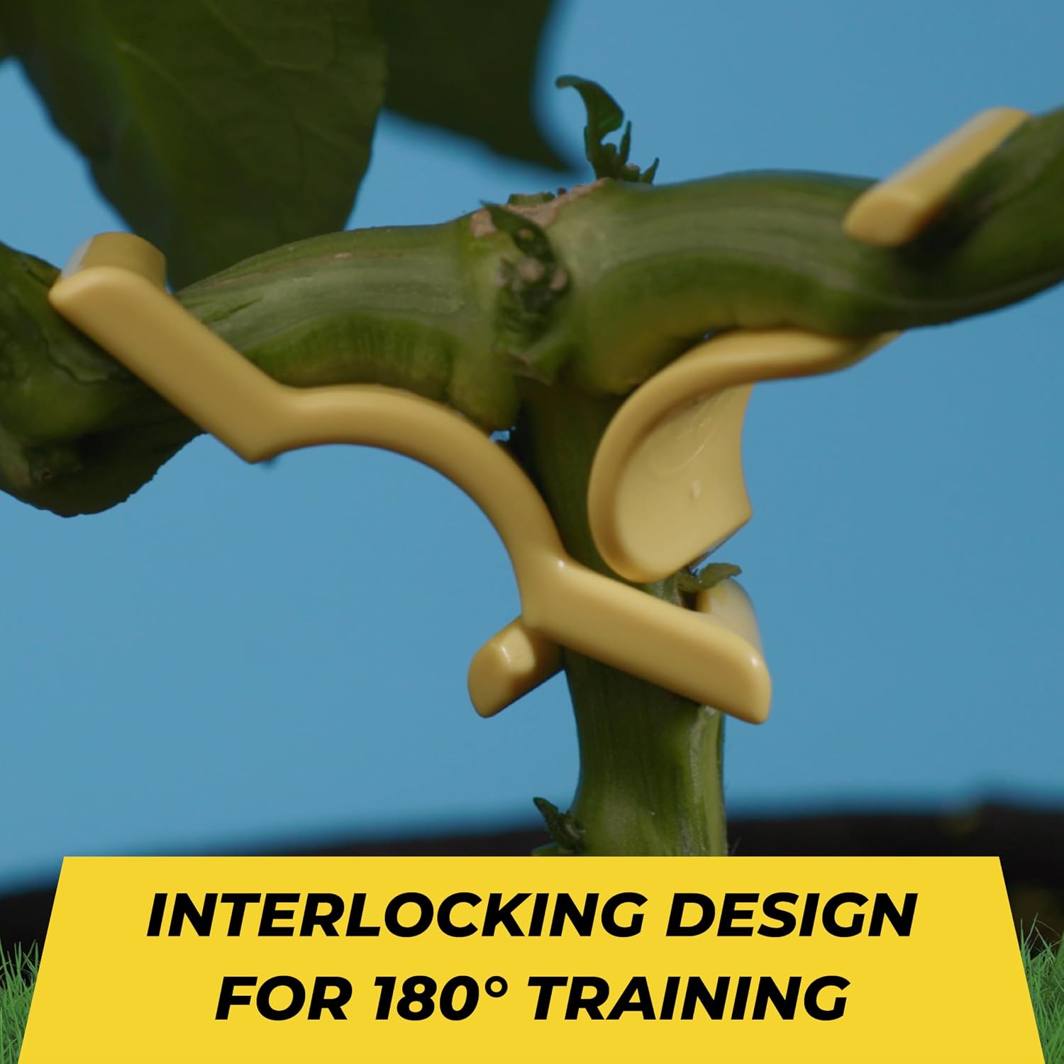 BudTrainer BudClips for Low Stress Plant Training, Yellow, 40-Pack | Universal LST Clips to Bend Or Train Stems
