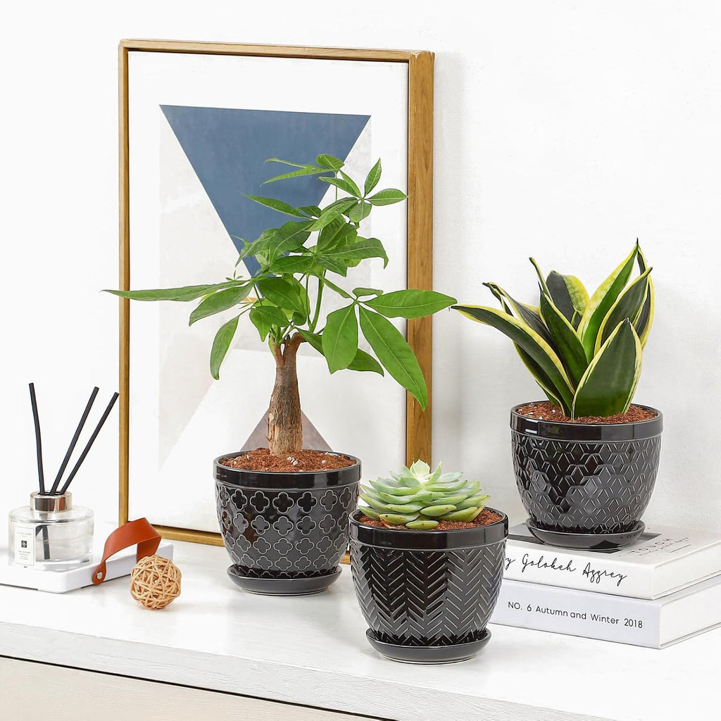 Sureasy Ceramic Indoor Plant Pots - 5.6 Inch Flower Pots for Plants with Drainage Hole and Saucer, Embossed Planter for