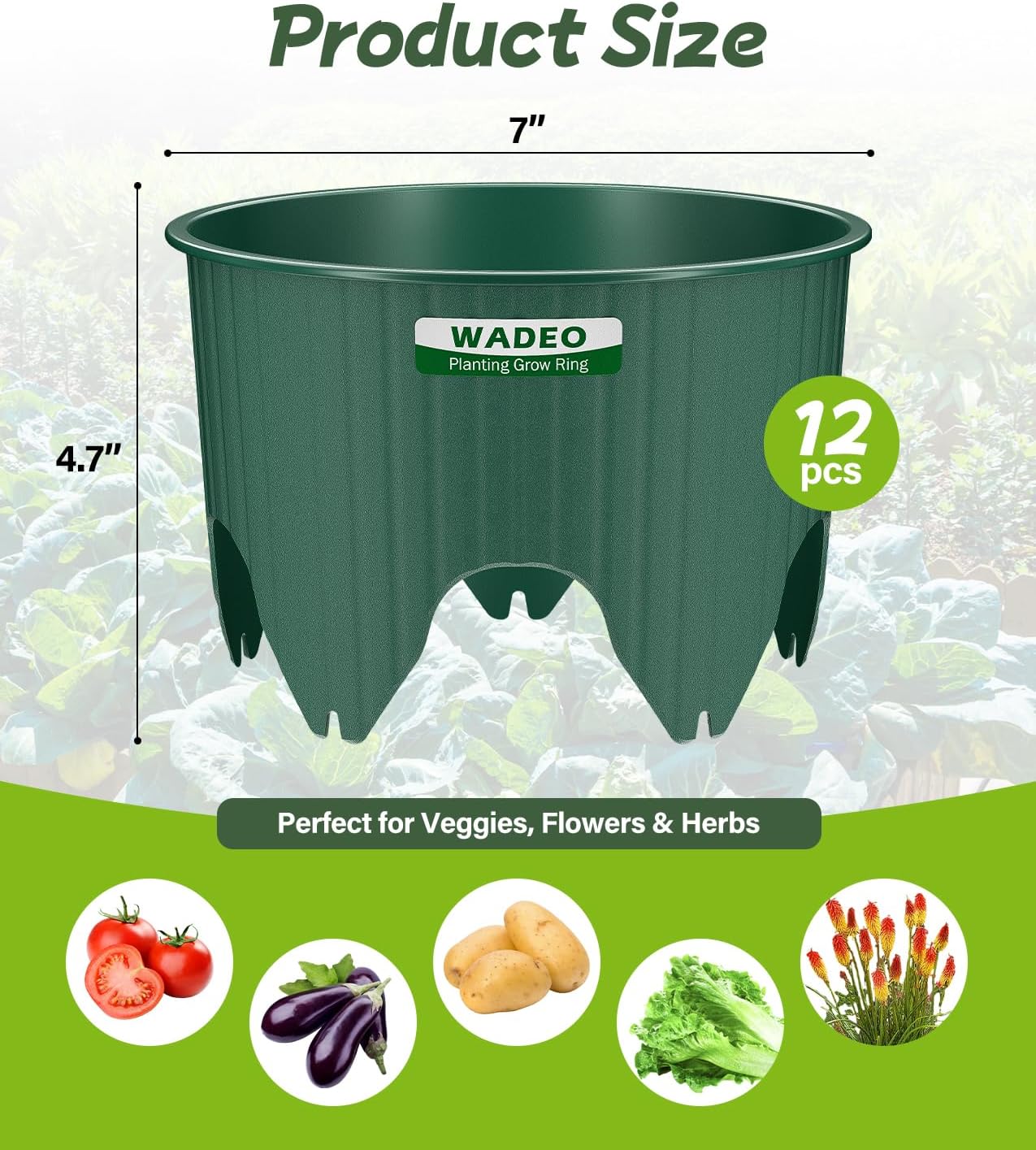7 inch Planting Grow Rings, 12 PCS Plant Rings for Outdoor Plants, Perfect for Deep Root Watering Veggies Herbs and