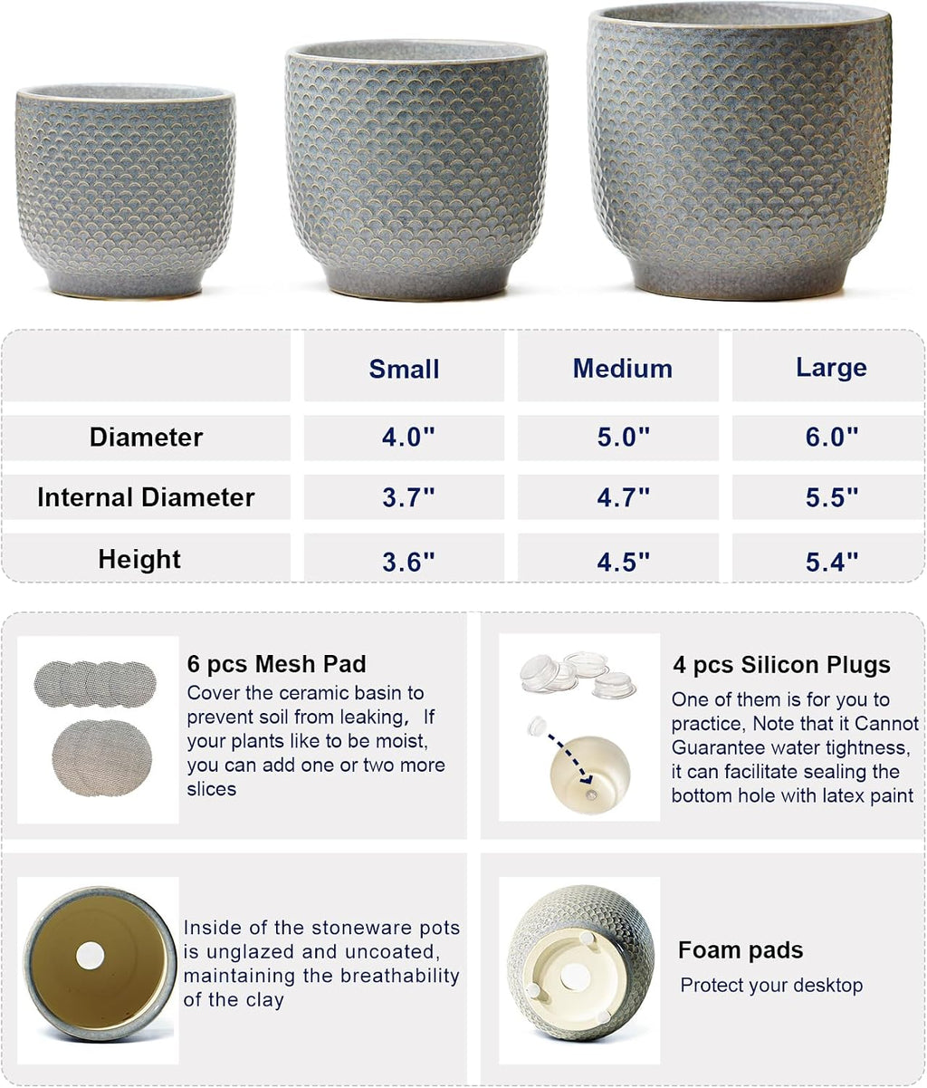 4 + 5 + 6 Inch Ceramic Pots for Indoor Plants, Succulents Plant Pots, Orchid Flower Pot with Drainage Hole, Modern Clay