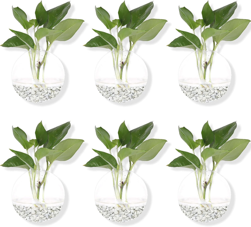 Hanging Wall Planters Pack of 6 Glass Plant Pots Round Wall Vases for Flowers Hanging Propagation Station Glass Plant