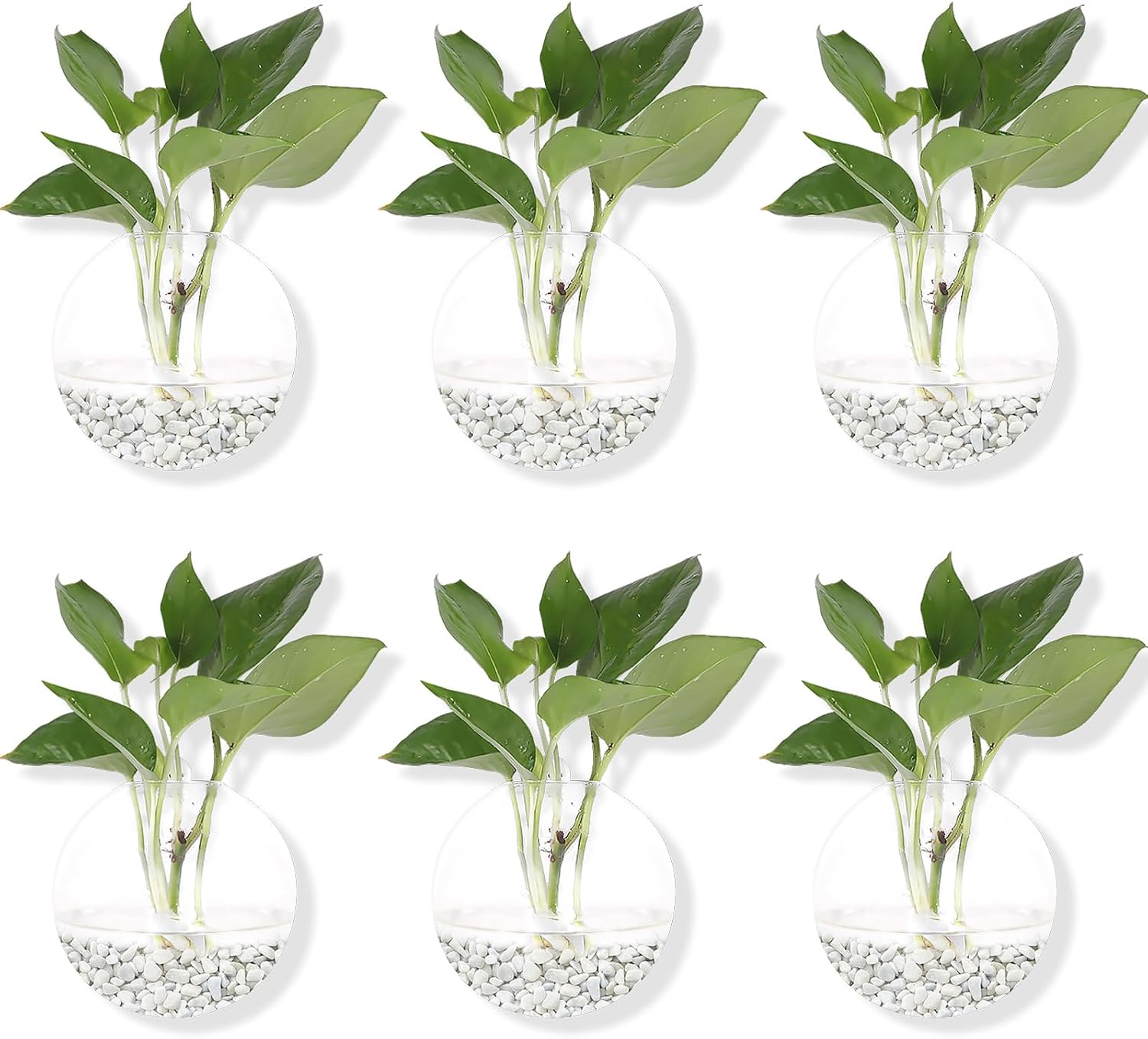 Hanging Wall Planters Pack of 6 Glass Plant Pots Round Wall Vases for Flowers Hanging Propagation Station Glass Plant