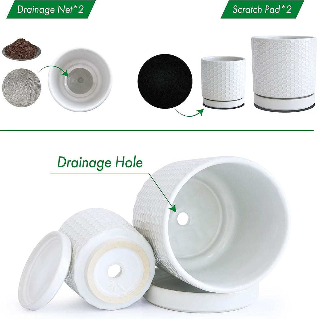 D'vine Dev 2-Pack Honeycomb Ceramic Planters, 4/6 in, 99-C-1-N | Sculptural Surface Detail, Timeless Design, Functional