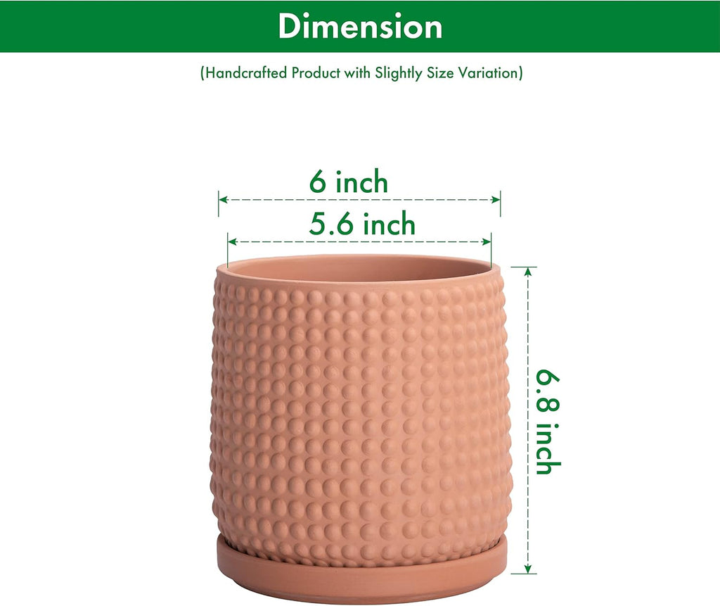 D'vine Dev Beaded Terracotta Pot with Saucer, 6 in, Terra Cotta, 27-C-X-7 | Embossed Dot Texture, Smooth Glazed Finish