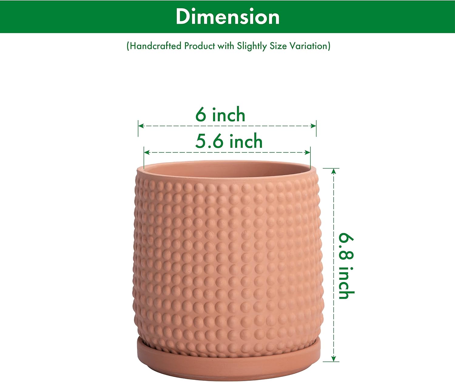 D'vine Dev Beaded Terracotta Pot with Saucer, 6 in, Terra Cotta, 27-C-X-7 | Embossed Dot Texture, Smooth Glazed Finish