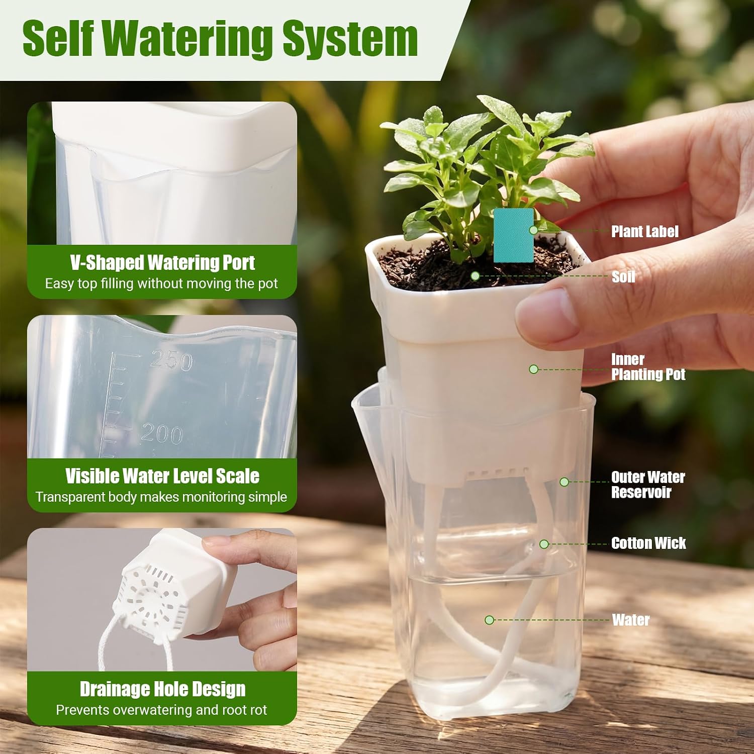 30 Pack 2" Small Self Watering Pots for Indoor Plants Clear Mini Self Watering Plant Pot with Water Level, Drainage