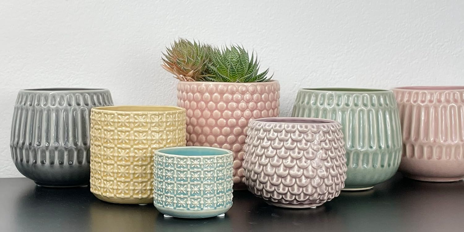 Nordring Stoneware Flower Pot – 6’’ White Planter with Polka Dots – Modern Ceramic Pot with Crackle Glaze – No Drainage