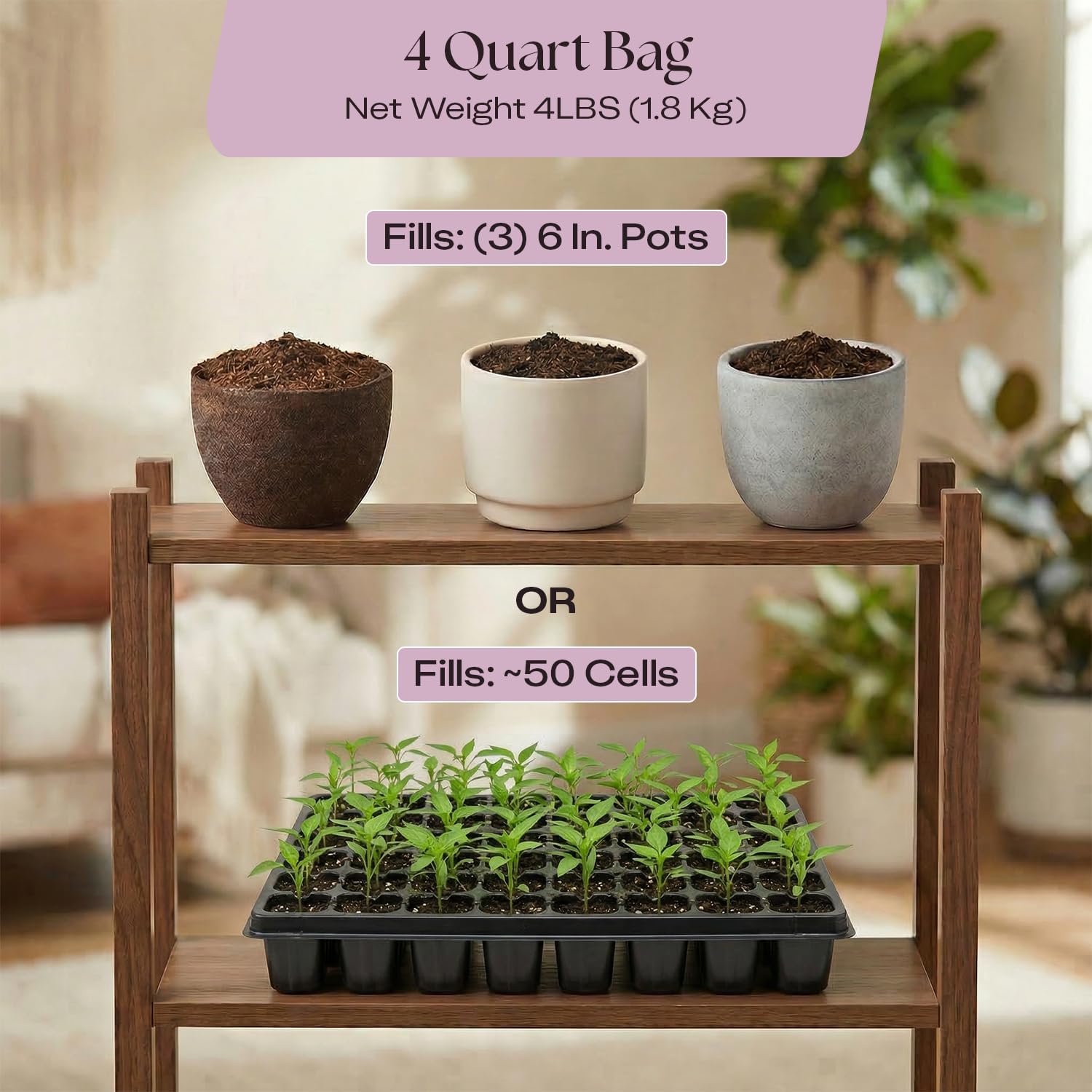 Rosy Soil Seedling Seed Starter Soil Mix, Organic, Peat-Free, 4 Quarts | Worm Castings, Biochar and Mycorrhizae Blend