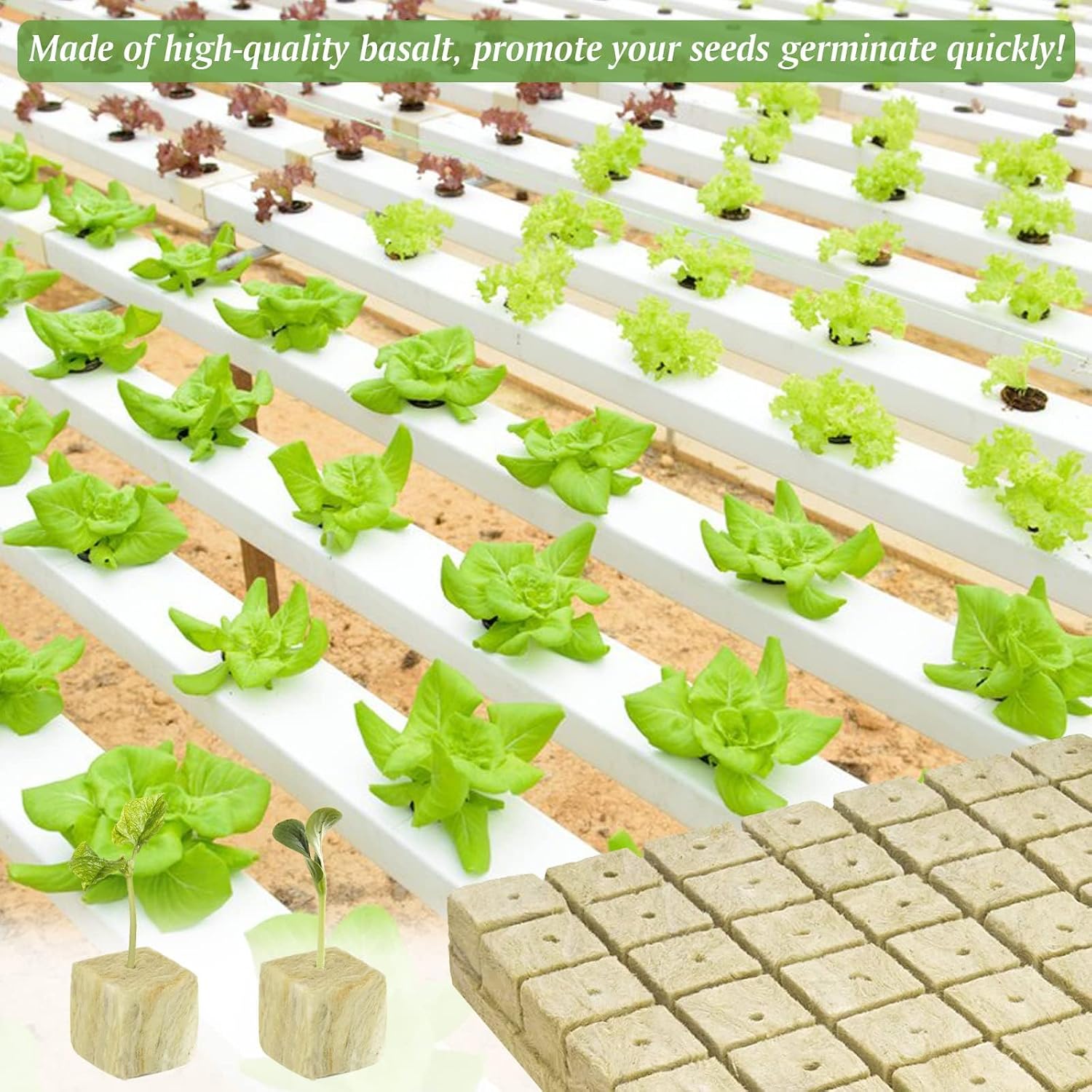 Halatool 2 Inch Rockwool Cubes for Hydroponics, 96 Plugs Seed Starter Cubes | High Germination Rate for Vegetables &