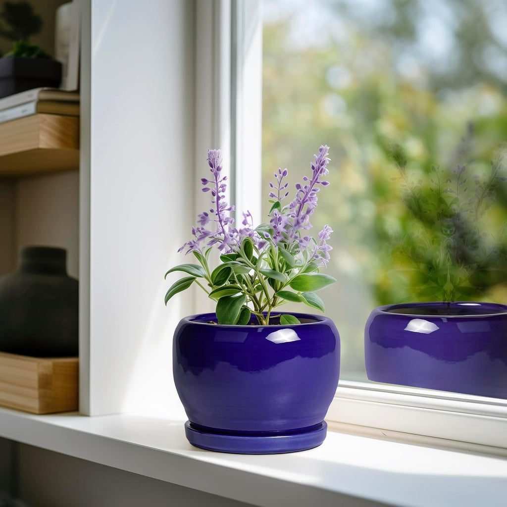SQOWL Ceramic Planters for Indoor Plants - 6 Inch Plant Pot with Drainage Hole and Saucer, Round Small Planter, Modern