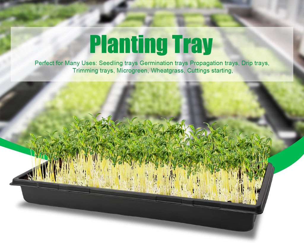 RooTrimmer 10 Pack 1020 Trays, Extra Thick Heavy Duty Seed Starting Trays - No Holes, No Leak, Reusable Propagation