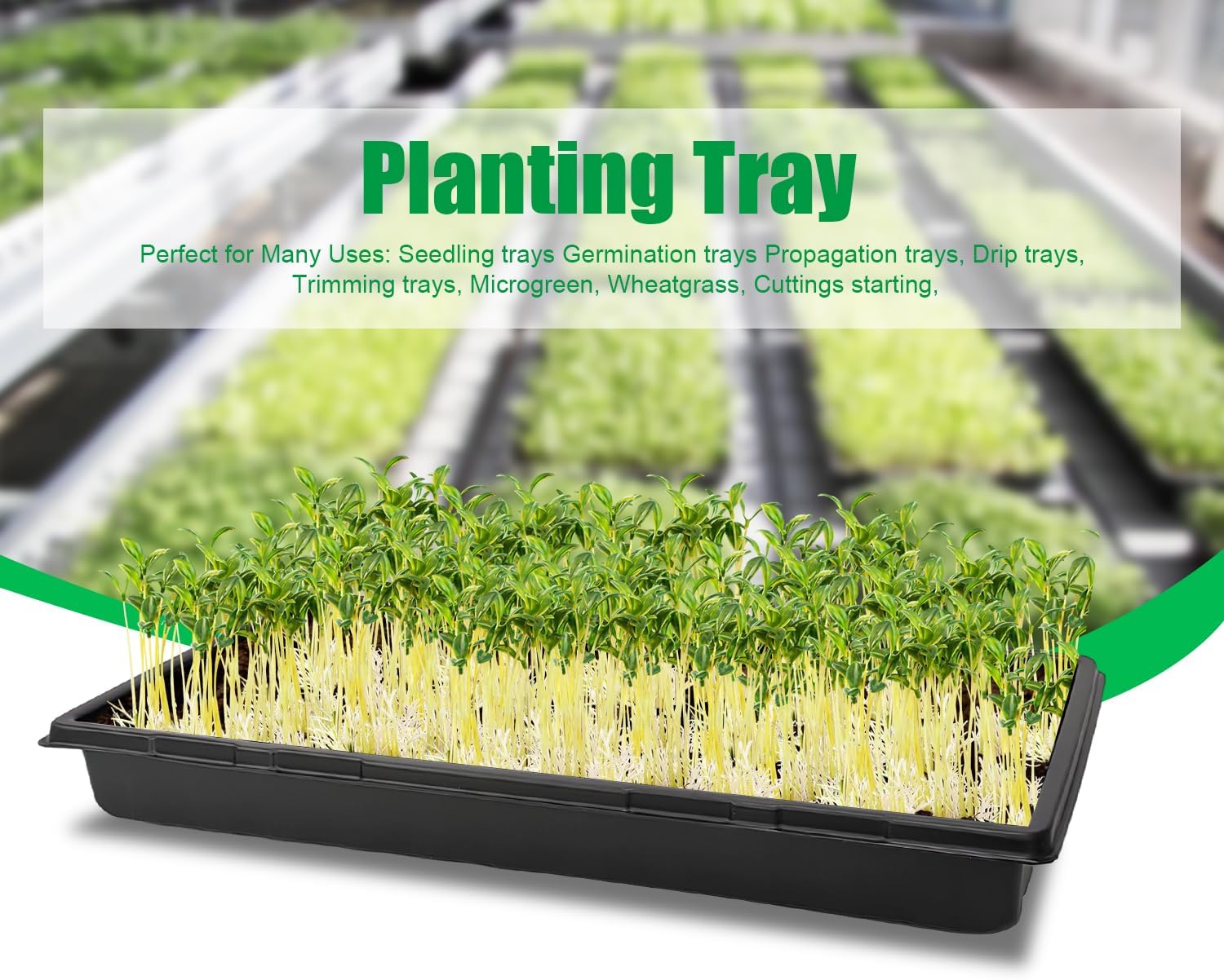 RooTrimmer 10 Pack 1020 Trays, Extra Thick Heavy Duty Seed Starting Trays - No Holes, No Leak, Reusable Propagation