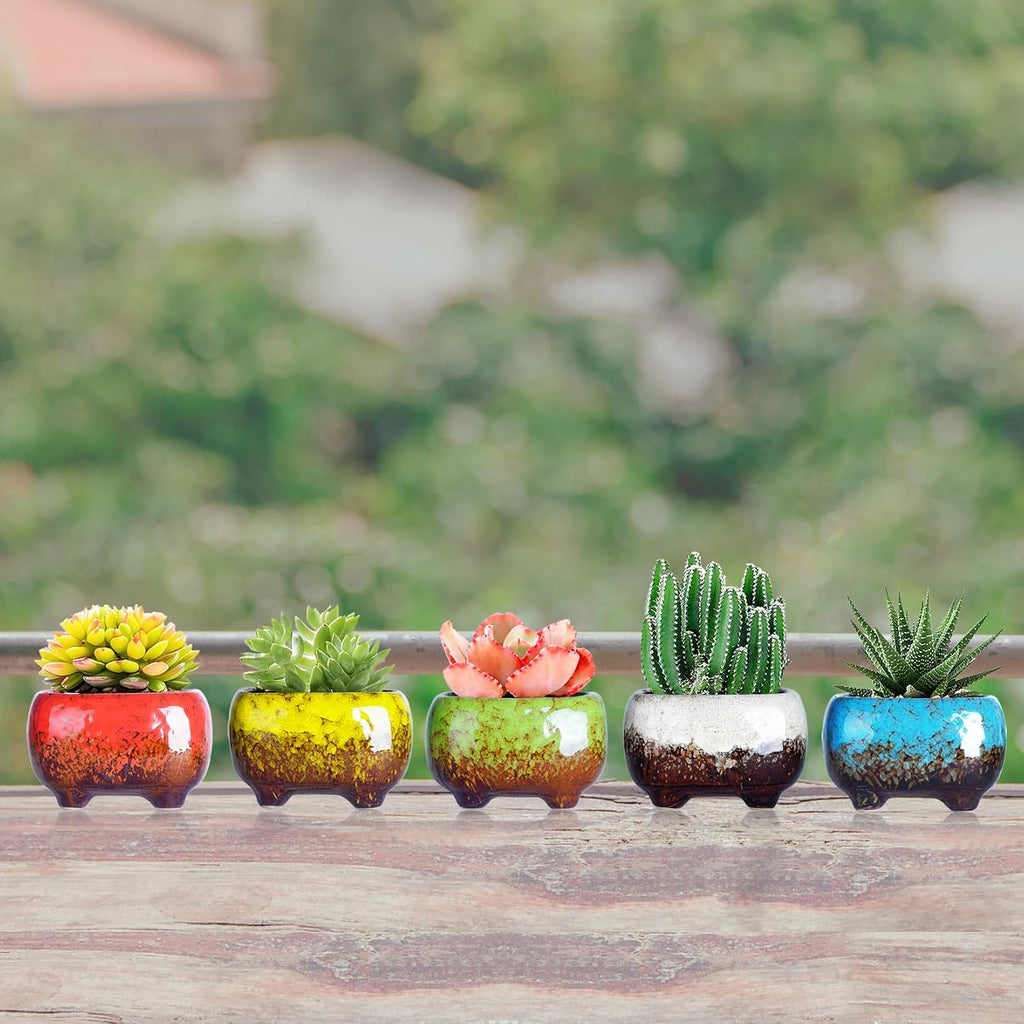 ARTKETTY Succulent Pots, 4.7 Inch Small Plant Pots with Drainage Pack of 5 | Ceramic Planters for Indoor Cactus Plants