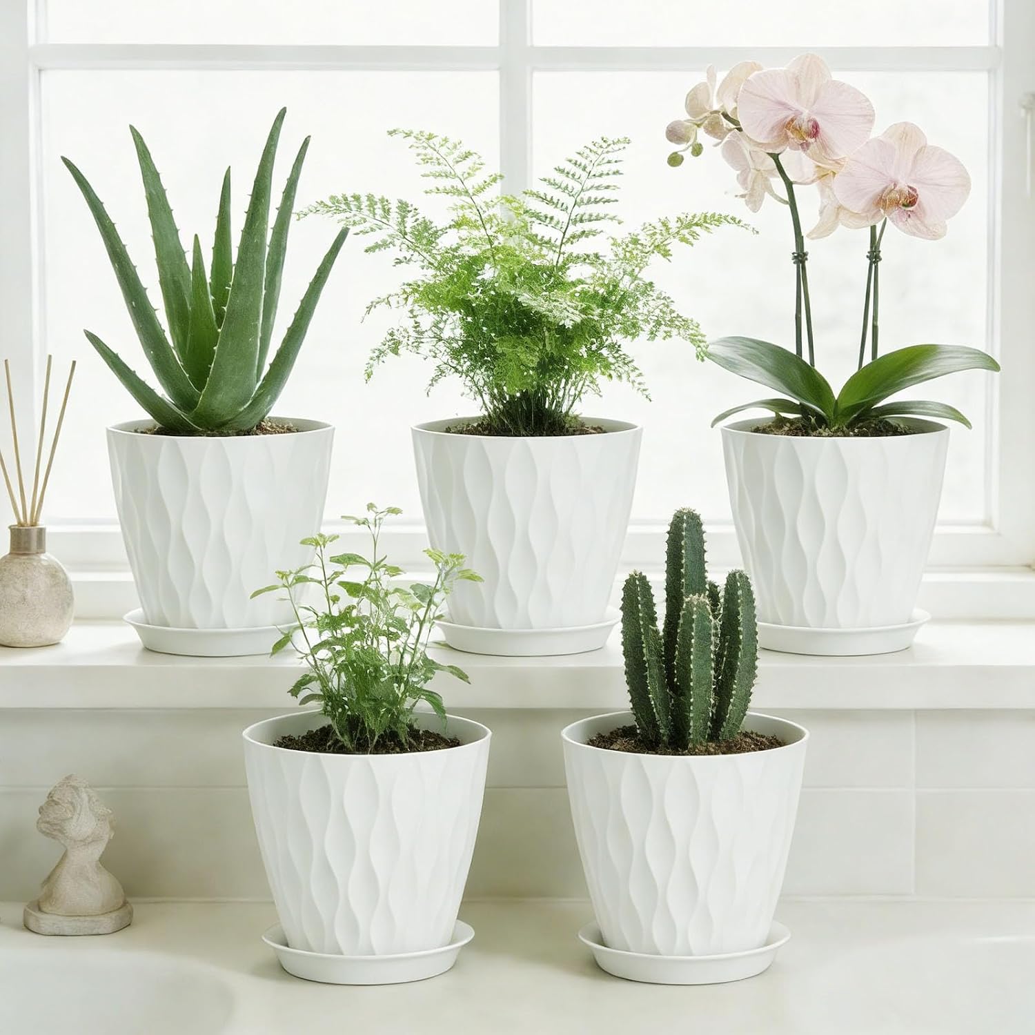 8 Inch Plastic Plant Pots,Set of 5 Flower Pots,Planters with Drainage Holes & Saucers, Indoor Outdoor Garden Pots for