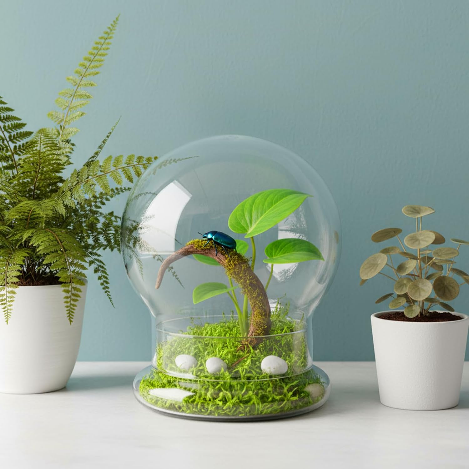 2 Pack Round Glass Cloche Domes with Air Hole and Base, 4.6 X 6.6 Inches Clear Terrarium Planter, Cloche Planters