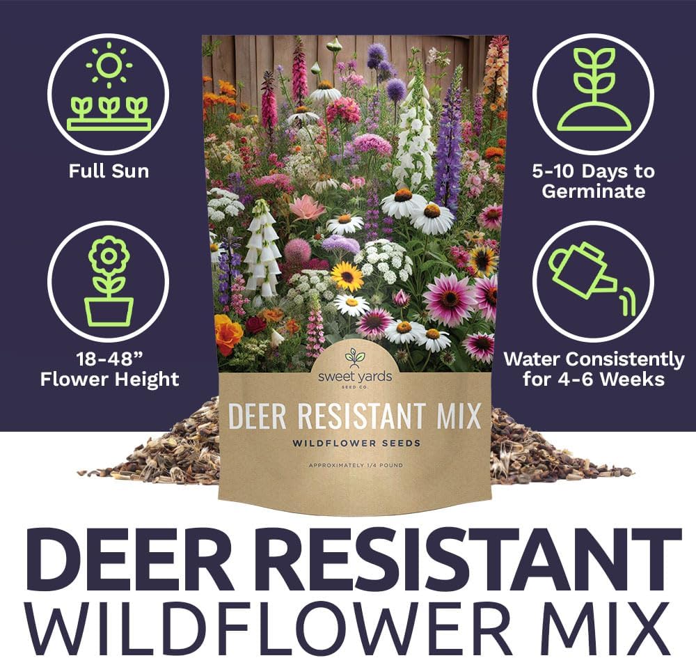 Deer Resistant Wildflower Seed Mixture - Bulk 1/4 Pound Bag - Over 60,000 Deer Tolerant Seeds - Open Pollinated and Non