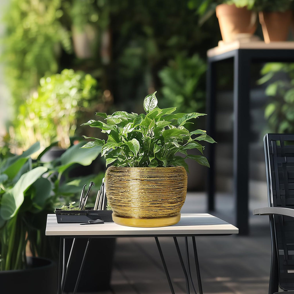 SQOWL Ceramic Flower Pot - 8 Inch Plant Pot Indoor Outdoor, Round Planter with Drainage Hole and Saucer, Decorative