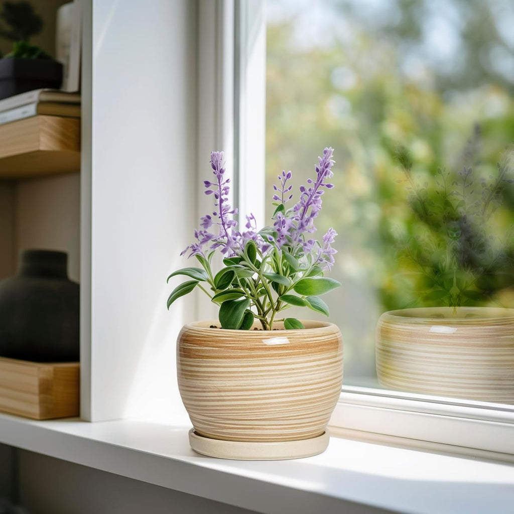 SQOWL Ceramic Pot for Plants - 6 Inch Indoor Planter with Drainage Hole and Tray, Round Modern Flower Pot Outdoor