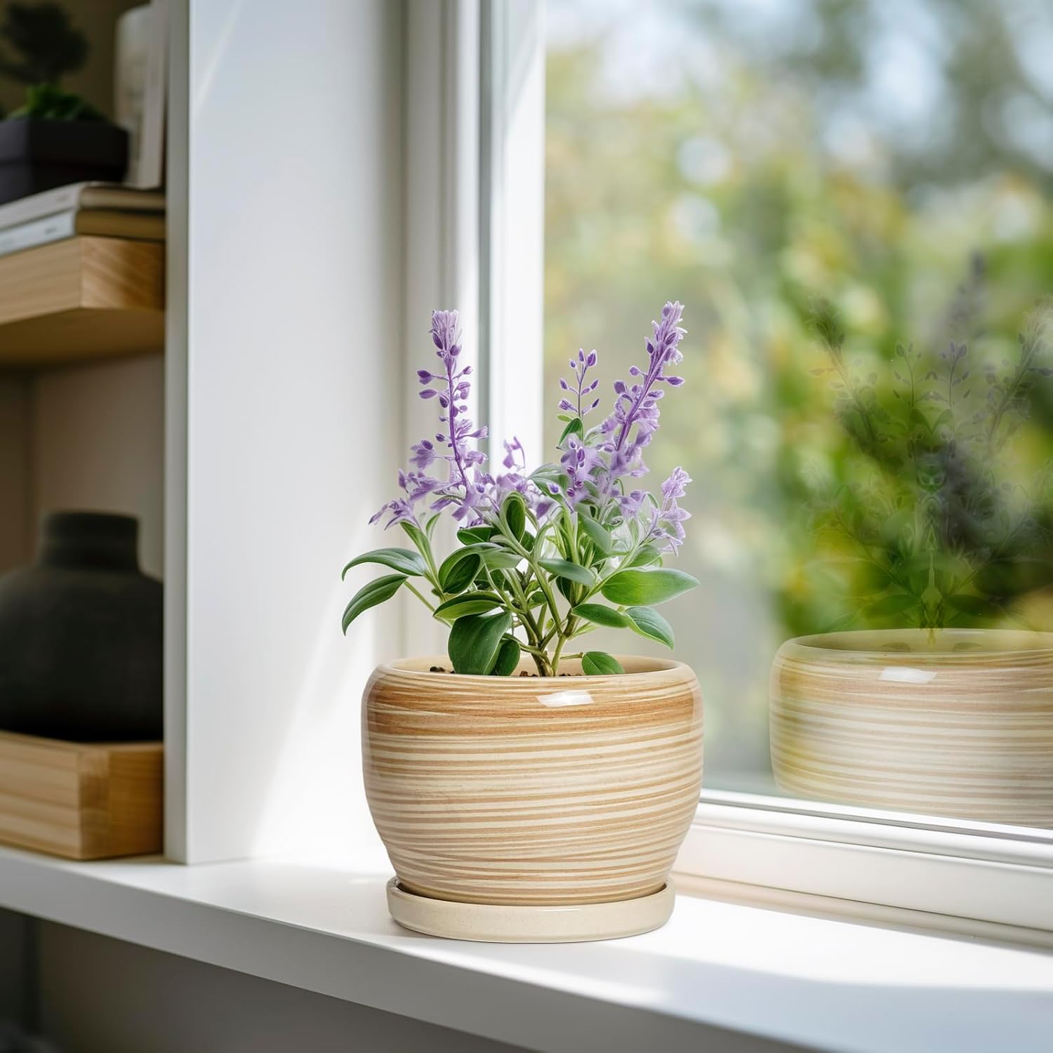 SQOWL Ceramic Pot for Plants - 6 Inch Indoor Planter with Drainage Hole and Tray, Round Modern Flower Pot Outdoor