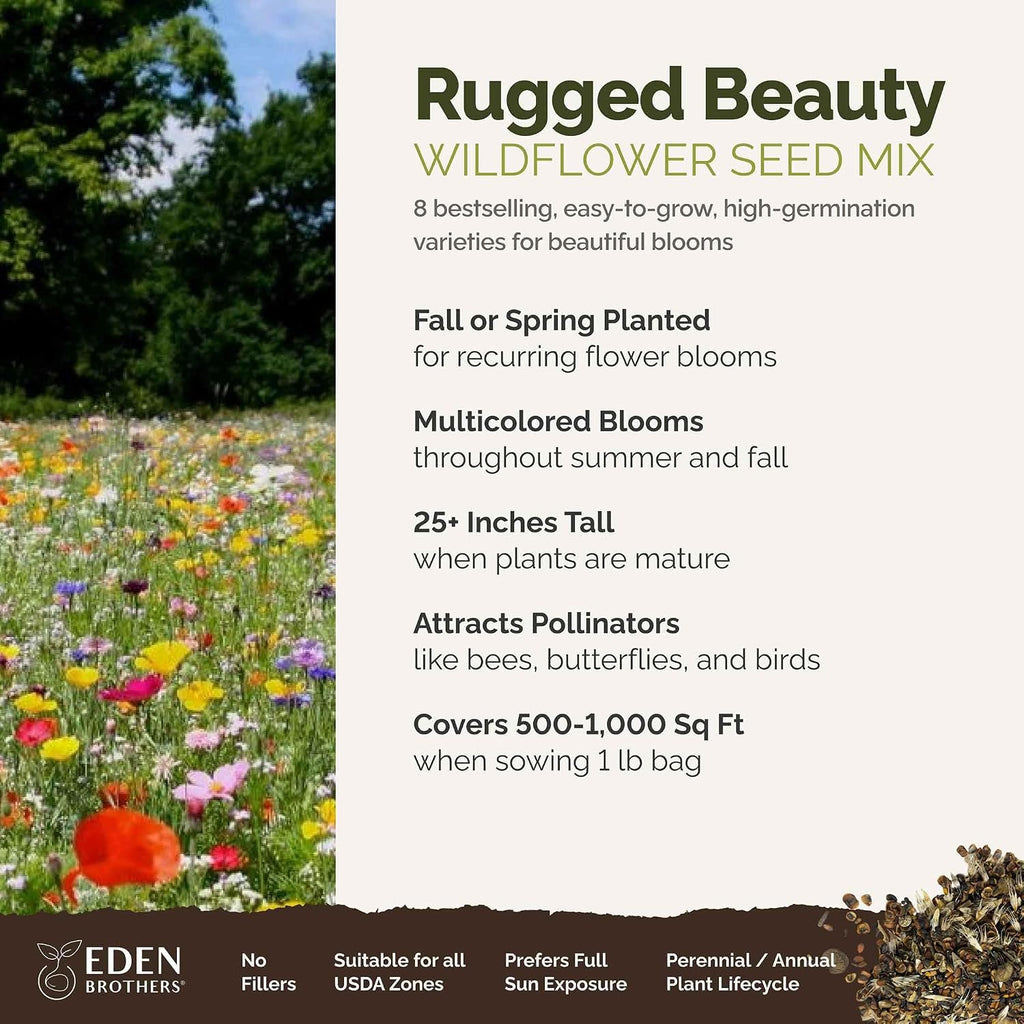 Eden Brothers Rugged Beauty Flower Mixed Seeds for Planting, 1 lb, 480,000+ Seeds with Cornflower Tall Blue, Candytuft