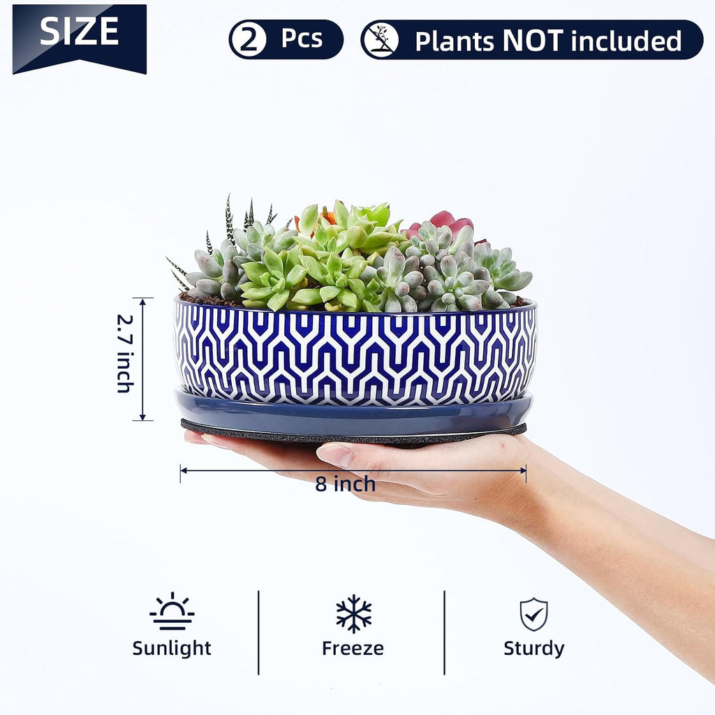 Selamica Ceramic Succulent Pots, Shallow Succulent Planters with Drainage Hole & Saucer, Indoor Plant Pots for Cactus