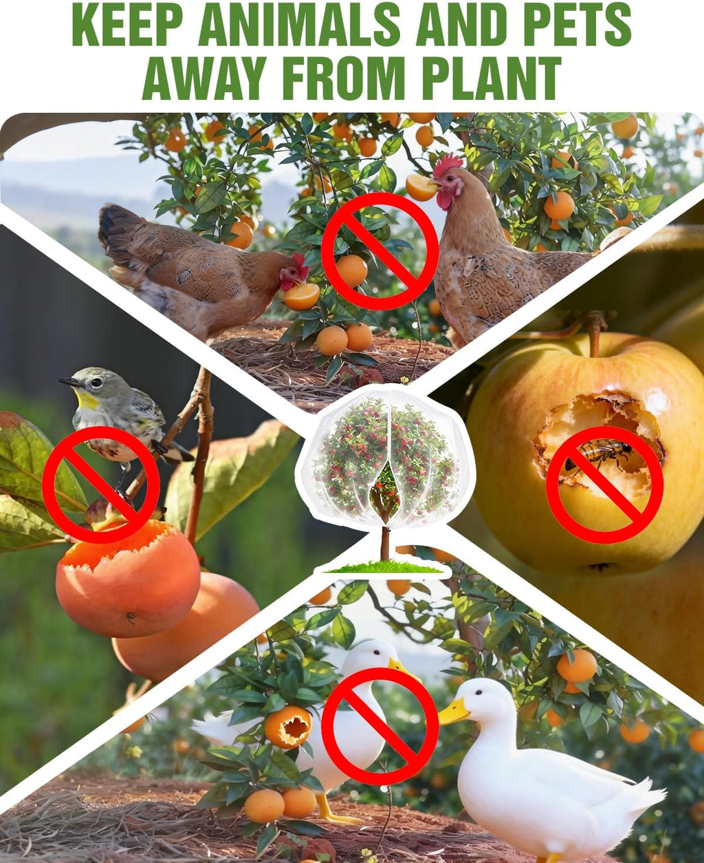 2 Packs 10x10FT Fruit Tree Netting with Zipper, 60-Mesh PE Pest Barrier | Fruit tree protection bag, Netting for