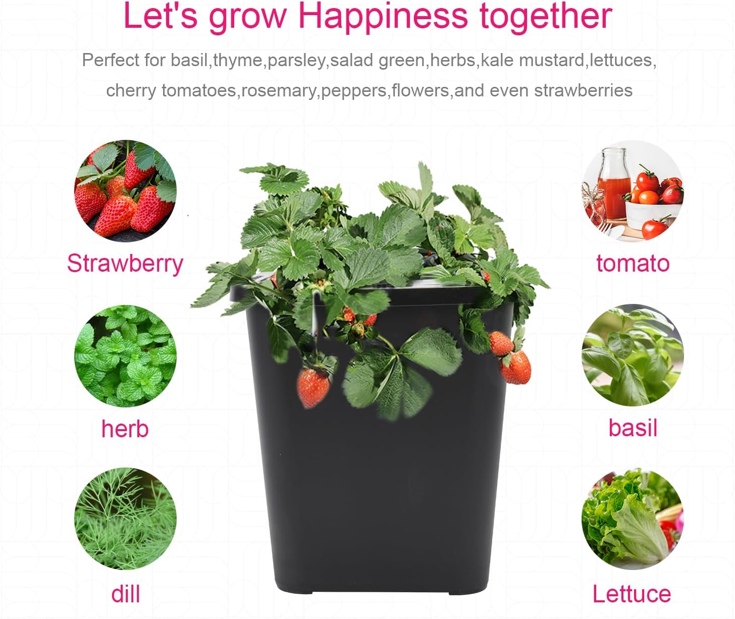 4 Hydroponic Buckets Kit for Plants, Hydroponics Growing System for Herbs/Tomato/Vegetables, DWC System with Air Pump &