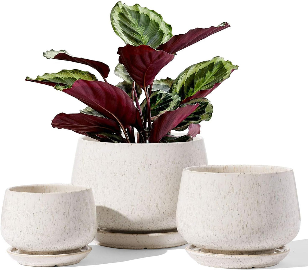 D'vine Dev 12 Inch Ceramic Planter Pot, Olive, 94-O-F-J