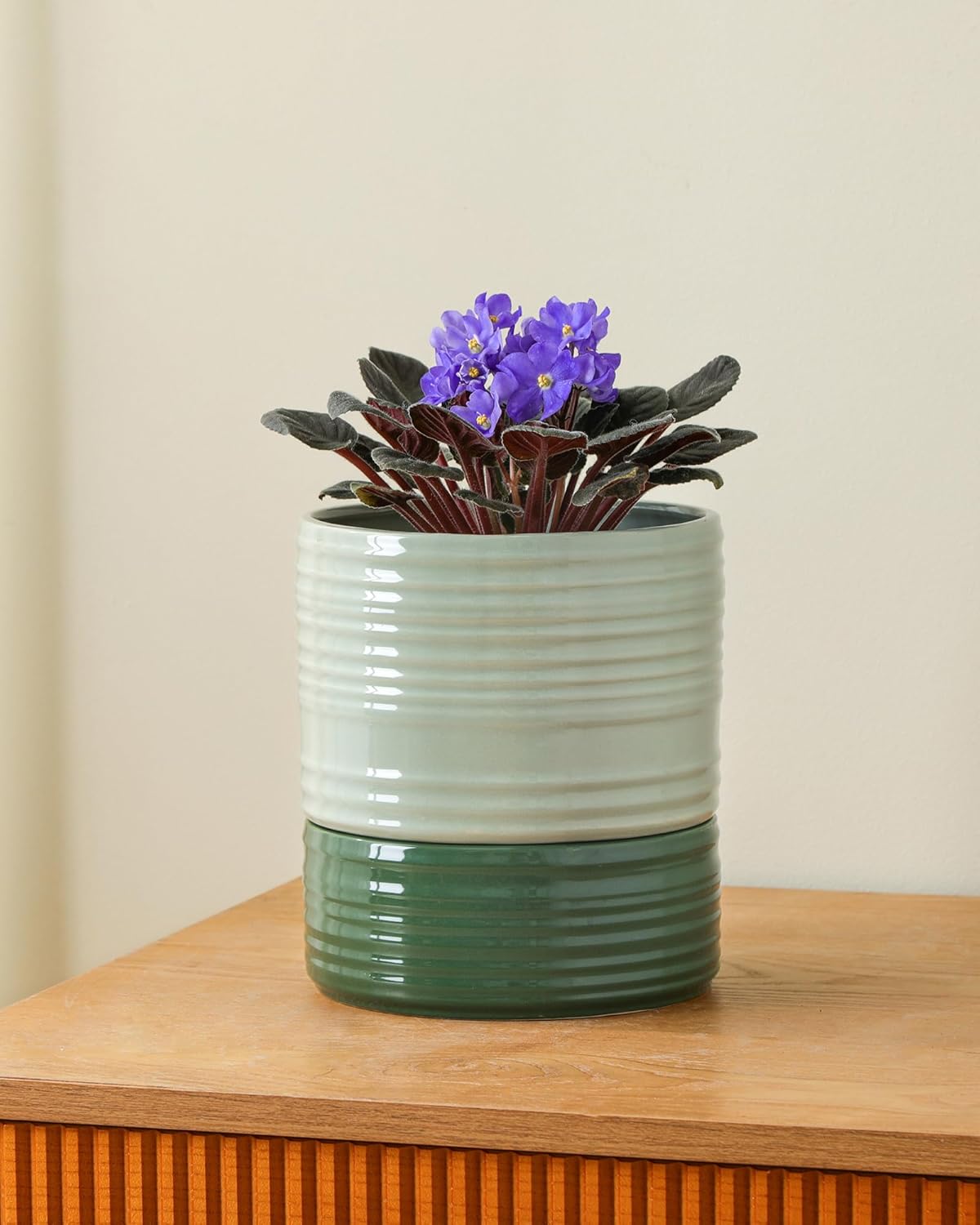 Fayoula Self Watering Pots for Indoor Plants, 6 Inch Ceramic Self Watering Plant Pot, Planter Pot with Wick Rope and