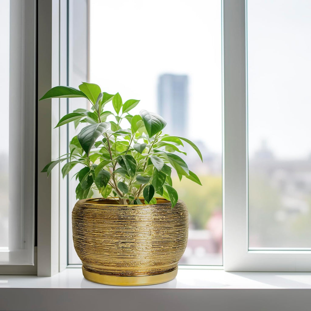 SQOWL Ceramic Planter for Indoor Plants - 10 Inch Plant Pot with Drainage Hole and Saucer, Modern Round Planter