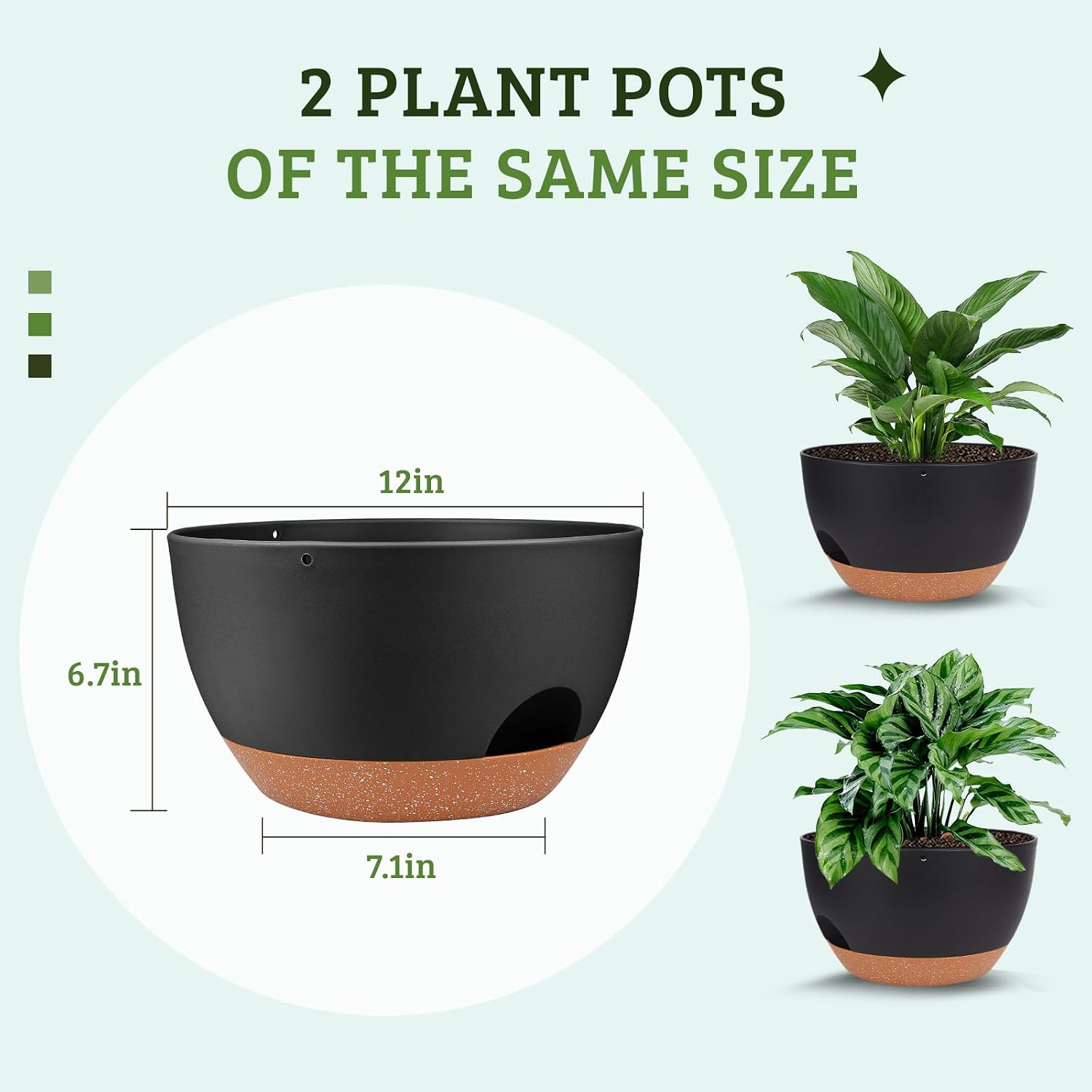 Vanslogreen Plant Pots 12inch Self Watering Pots, Set of 2 Plastic Planters with Drainage Holes and Saucers, Flower