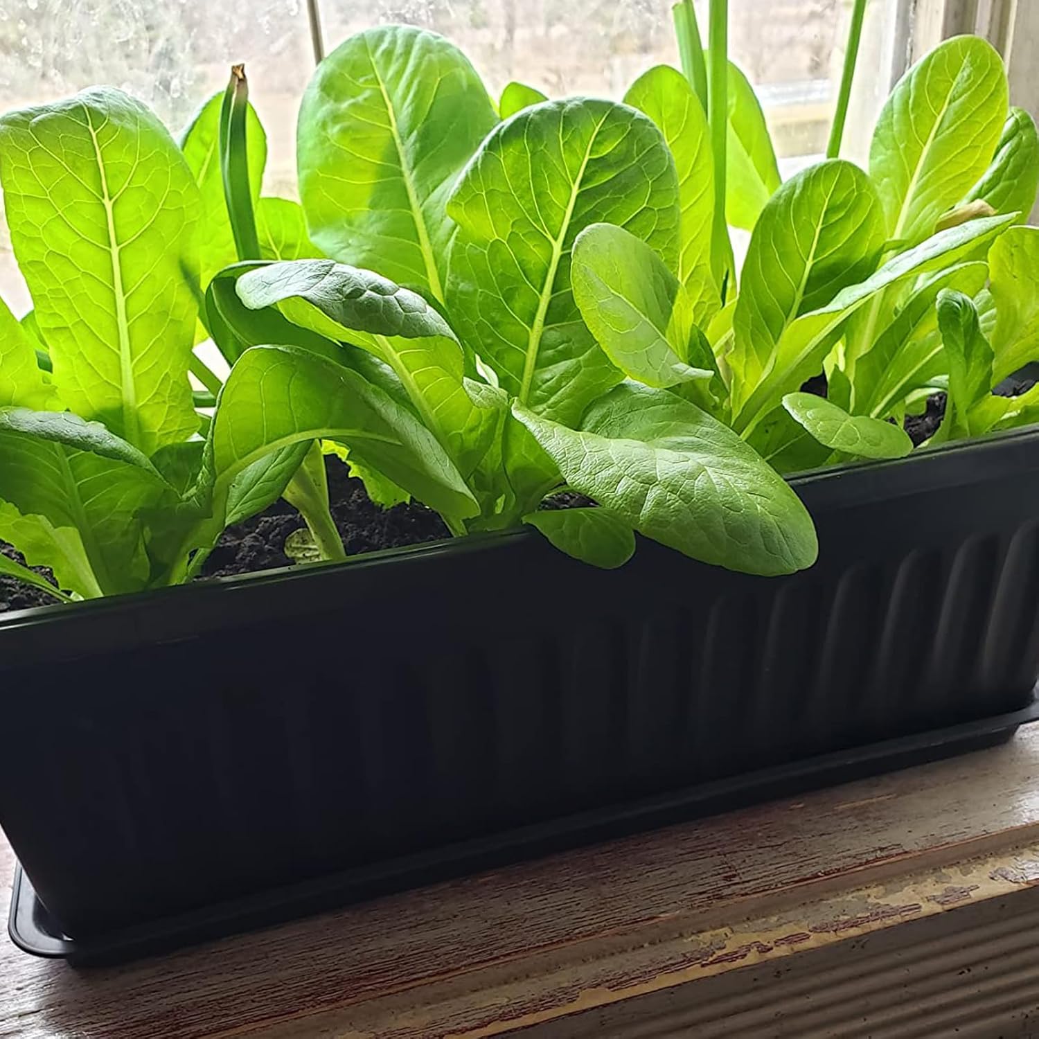 JOIKIT 17 Inches Black Plastic Planter Box, 6 Packs, Good Drainage, Indoor Outdoor Usage, for Garden, Windowsill