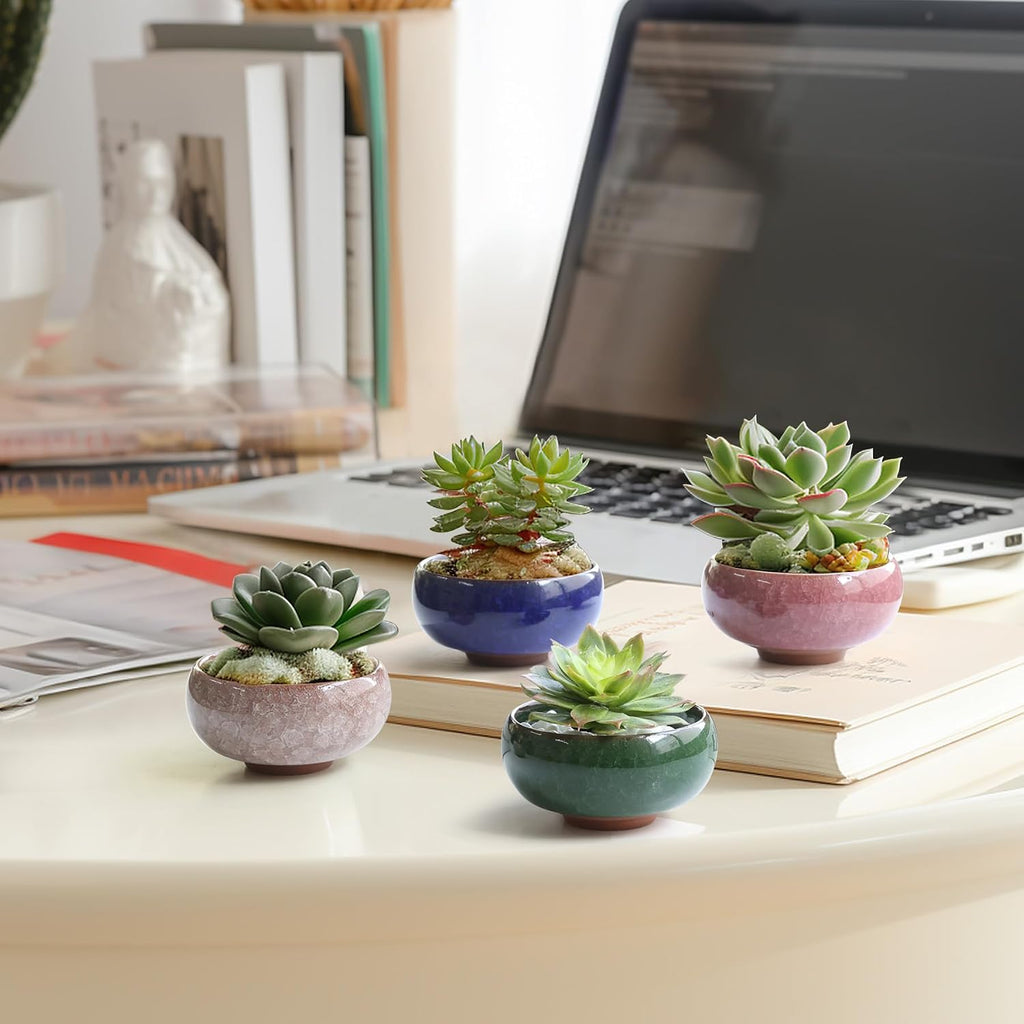 T4U 2.5 Inch Small Ceramic Succulent Planter Pot with Drainage Hole Set of 12, Ice Crack Glaze Plant Container for