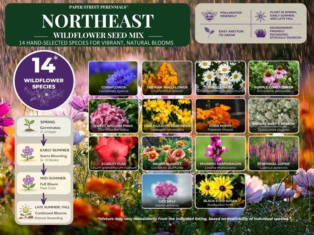 Maryland Bulk Wildflower Seed Mix 1/4lb Covers 500sq-ft - Attract Pollinators, Multi-Color Perennial and Annual Non-GMO